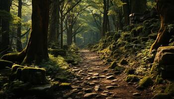 ai gerado tranquilo cena do outono floresta, misterioso e verde gerado de ai foto