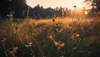 ai gerado vibrante flores silvestres flores dentro a Prado gerado de ai foto