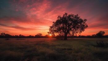 ai gerado silhueta árvore contra dramático céu, pôr do sol sobre tranquilo Prado gerado de ai foto