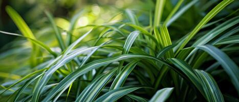 ai gerado fechar-se do fresco verde limitar folhas, criando uma texturizado foto