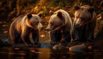 ai gerado fofa panda filhote caminhando dentro a floresta, refletindo dentro água gerado de ai foto