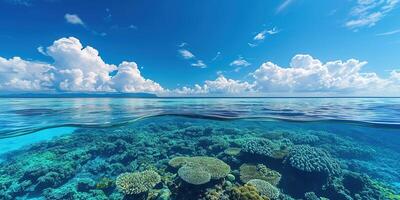 ai gerado ótimo barreira recife em a costa do queensland, Austrália seascape. coral mar marinho ecossistema embaixo da agua Dividido Visão com uma azul luz do dia céu papel de parede fundo foto