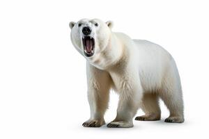 ai gerado polar Urso clipart foto