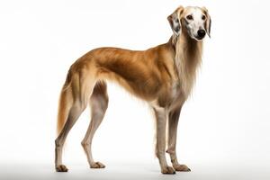 ai gerado saluki cachorro clipart foto