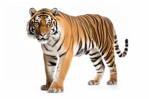 ai gerado selvagem tigre clipart foto