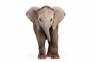 ai gerado bebê elefante clipart foto