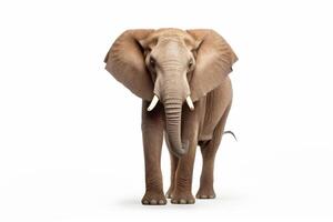 ai gerado africano elefante clipart foto