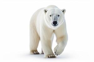 ai gerado polar Urso clipart foto