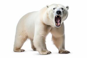 ai gerado polar Urso clipart foto