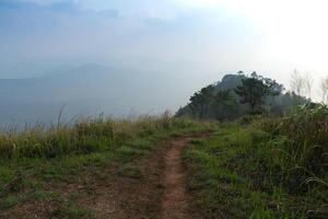 caminhando caminho com verde Relva cobertura ambos lados.rota cabeças para a topo da montanha Visão ponto do phu não. fundo imagem com névoa e desmaiar montanhas. às phu Langka phayao província do tailândia. foto