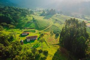 rural área com Campos e montanhas com luz solar dentro santa Catarina, Brasil foto