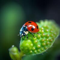 ai gerado uma senhora erro sentado em topo do uma verde plantar foto