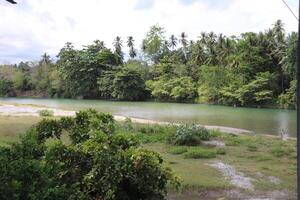 panorama com floresta e uma rio. lindo cenário foto