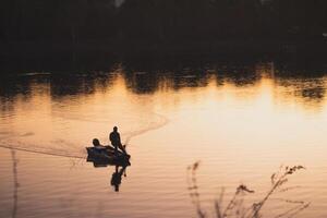 cisnes graciosamente deslizar em uma tranquilo lago às pôr do sol, cercado de a sereno beleza do natureza foto