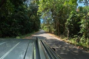 topo cobertura do cinzento carro dirigindo em a asfalto estrada. floresta este cobre a em torno da área. debaixo azul céu. foto