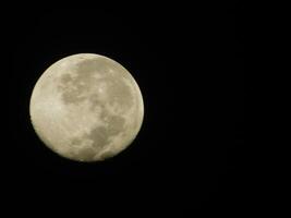 cheio lua potrait às noite foto