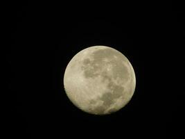 cheio lua potrait às noite foto