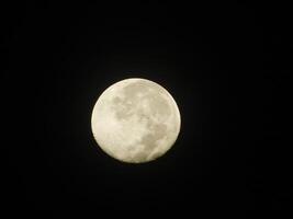 cheio lua potrait às noite foto