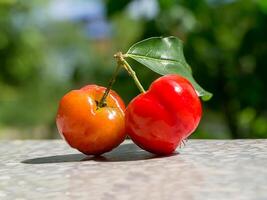 fechar acima vermelho acerola cereja. foto