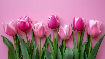 ai gerado lindo tulipa flores isolado em Rosa fundo com cópia de espaço foto