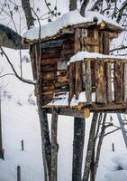 uma árvore casa dentro a neve foto