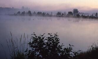 uma lago com névoa e árvores dentro a fundo foto