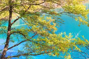 espumante lago, jiuzhaigou nacional parque, sichuan província, China, unesco mundo herança local foto