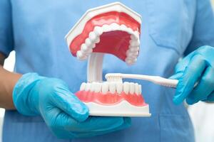 ásia dentista limpeza dentes do dental modelo com dente escova para paciente e estudando sobre odontologia. foto