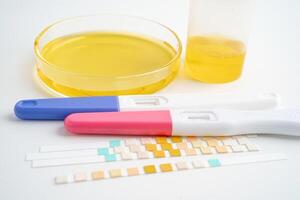 urinálise, gravidez teste e urina copo com reagente faixa ph papel teste dentro laboratório, contracepção saúde e remédio. foto