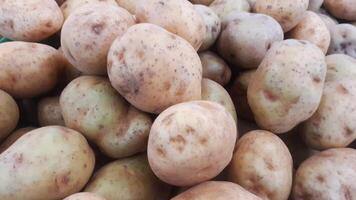 grande pilha do batatas em a mercado foto