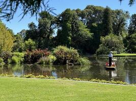 punting em a lago dentro uma jardim, capturado às real botânico jardins victoria Melbourne foto