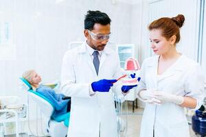 dois dentista mostrando mandíbula modelo dentro clínica foto