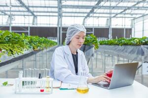 cientista trabalhando dentro orgânico agricultura Fazenda pesquisa Novo químico Fórmula extrair a partir de plantar para médico conceito. foto