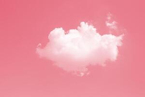 fofa adorável solteiro 1 pequeno inchado branco nuvem contra céu Rosa cor tom para amor dia foto