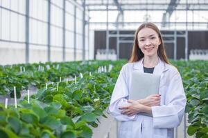 retrato cientista dentro ampla verde casa orgânico morango agricultura Fazenda para plantar pesquisa trabalhando mulher. foto