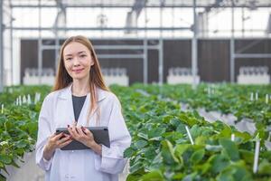 retrato cientista dentro ampla verde casa orgânico morango agricultura Fazenda para plantar pesquisa trabalhando mulher. foto