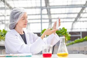 cientista trabalhando dentro orgânico agricultura Fazenda pesquisa Novo químico Fórmula extrair a partir de plantar para médico conceito. foto