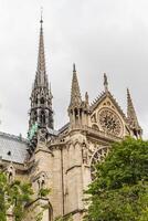 notre dame paris foto