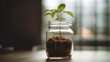 ai gerado fechar acima do uma jovem plantar brotando a partir de a solo dentro vidro jar. foto