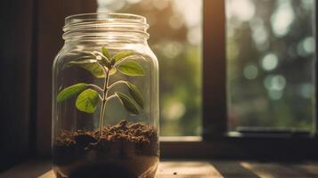 ai gerado fechar acima do uma jovem plantar brotando a partir de a solo dentro vidro jar. foto