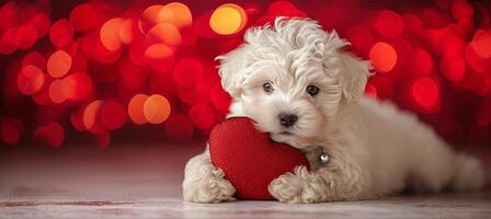 ai gerado adorável cachorro com coração em forma travesseiro para namorados s dia em borrado fundo foto