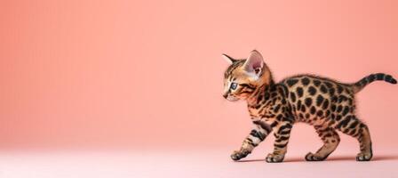 ai gerado gracioso fofo gato caminhando em pastel fundo com amplo cópia de espaço para texto posicionamento foto