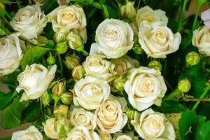 elegante branco rosas com verde folhas foto