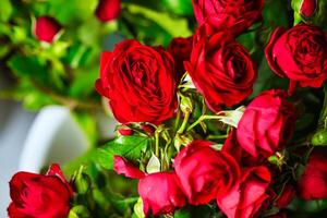 vermelho rosas ramalhete dentro vaso - deslumbrante floral exibição com cópia de espaço foto