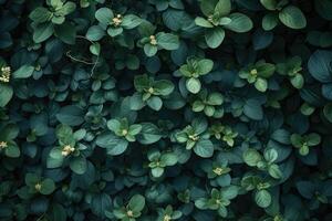 ai gerado assustador verde Sombrio floresta natureza profissional fotografia foto