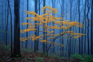 ai gerado assustador verde Sombrio floresta natureza profissional fotografia foto