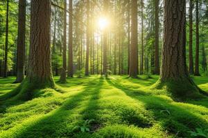 ai gerado mundo floresta dia saudações cartão profissional fotografia fundo foto