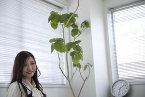 uma relaxado japonês mulher de controlo remoto trabalhos dentro a casa escritório foto