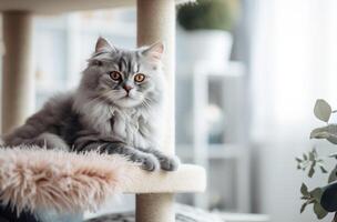 ai gerado uma prata cinzento gato senta em uma gato árvore foto