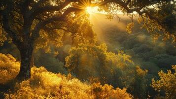 ai gerado uma exuberante floresta banhado dentro dourado luz solar, fundição encantador sombras em a vibrante folhagem abaixo foto